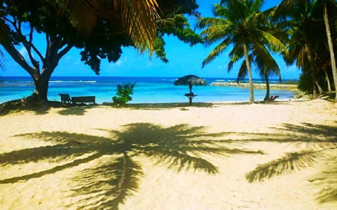 Appartement Le Ti'Paradise Belle-Allée Guadeloupe